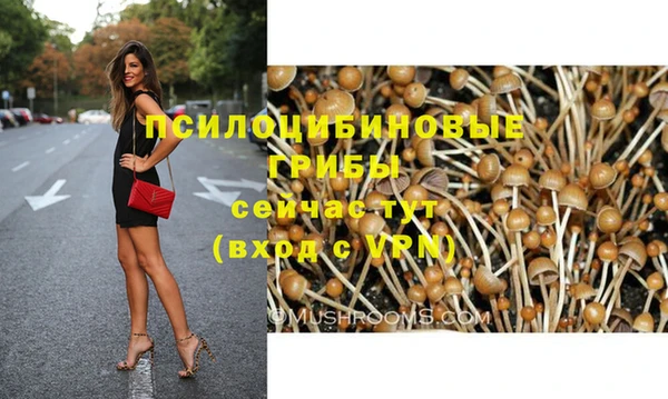 mdpv Надым