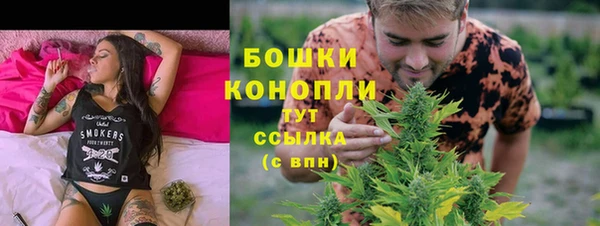 крисы Наволоки