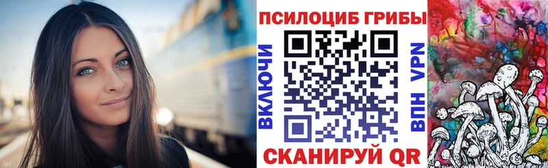 Галлюциногенные грибы Psilocybe  Купить  Новоаннинский 